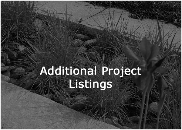 Additional Projects Listing